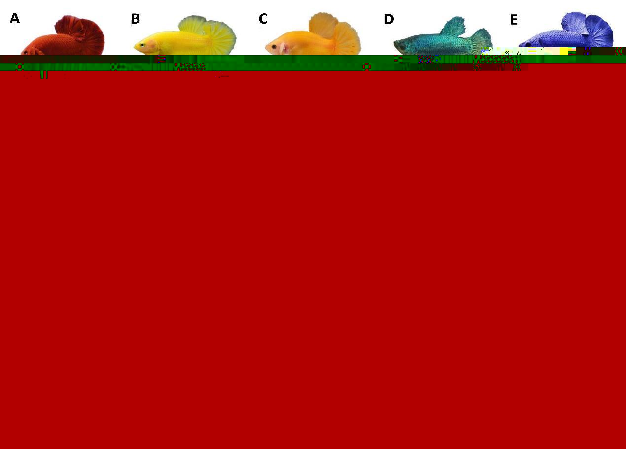 2c4842f49d3a4b5bad45aac821bfb9c3.jpg
