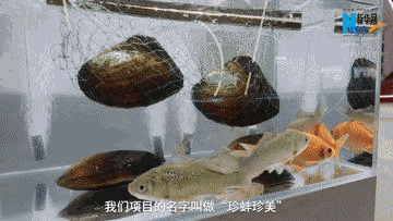 10.15青春2.gif